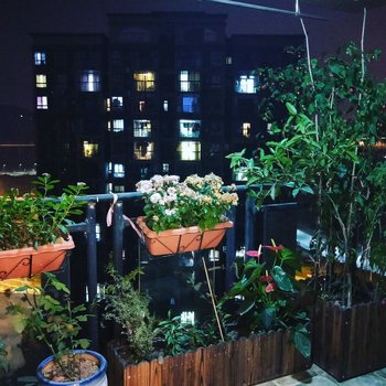 ������פʱ��������ͨ��Ԣ�Ƶ��ṩͼƬ