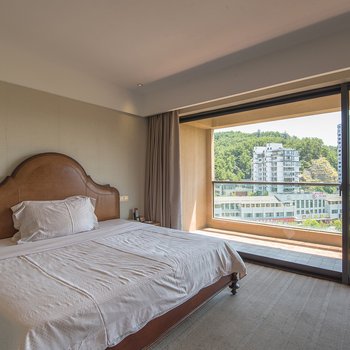 千岛湖丽景度假公寓酒店提供图片