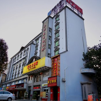 百色欧艺大酒店酒店提供图片