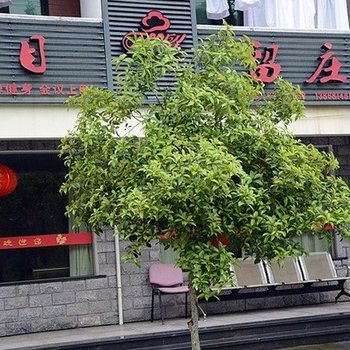 临安天目留庄农家乐酒店提供图片