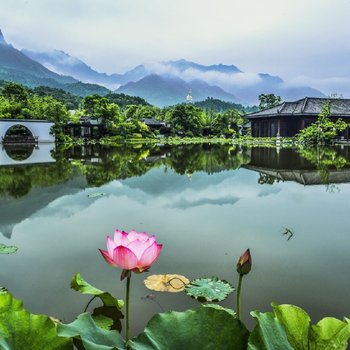 九华山涵月楼度假酒店酒店提供图片