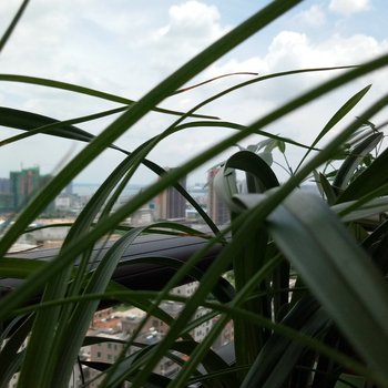 湛江城中湿地的邻居普通公寓酒店提供图片