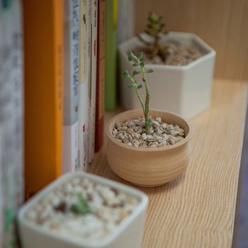 广州书屋Bookroom普通公寓酒店提供图片