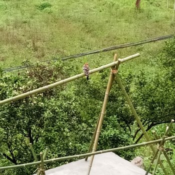 重庆耿蕊农家乐酒店提供图片