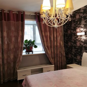 乌鲁木齐钢好柔的房子公寓酒店提供图片