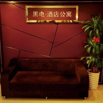 泉州黑电公寓酒店宝洲路店
