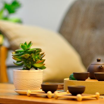 林居Cozy House(上海店)