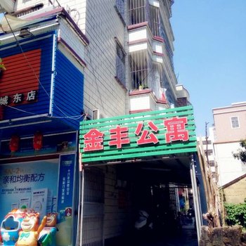 惠来金丰公寓酒店提供图片