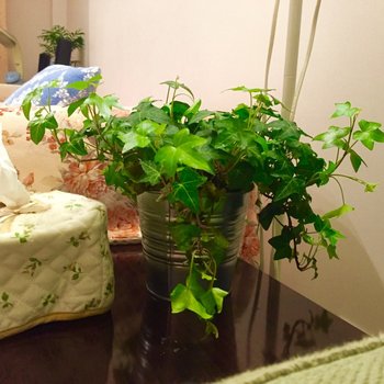 上海小盒子公寓(福州路分店)酒店提供图片