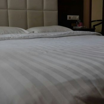 西安海升温泉大酒店酒店提供图片