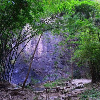 雁荡山石门小筑酒店提供图片