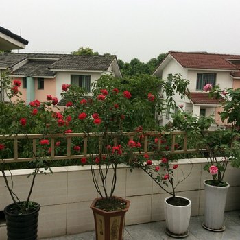 成都青城山双拼别墅酒店提供图片