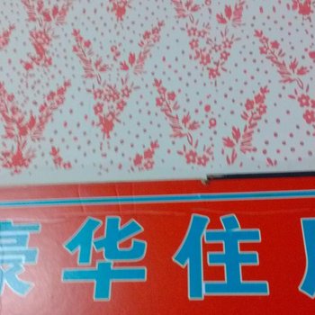 东莞虎门豪华住房
