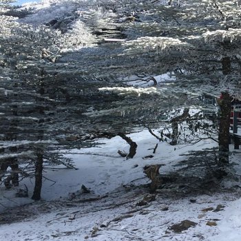 禄劝轿子雪山龙泉酒店酒店提供图片