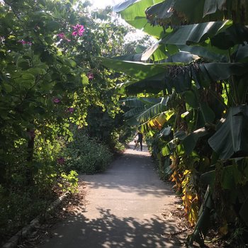 广州朴宿（我是小朴）普通公寓酒店提供图片