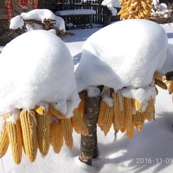 牡丹江雪村威虎山大潘客栈酒店提供图片