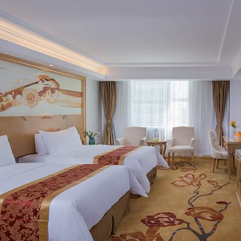 维也纳酒店(深圳百富城店)酒店提供图片