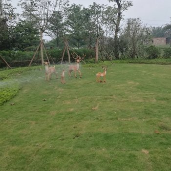 肇庆恒大鼎湖豪庭普通公寓酒店提供图片