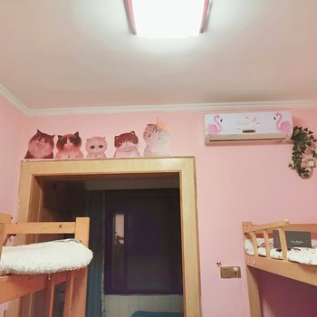 章鱼青年旅舍(成都宽窄巷子店)