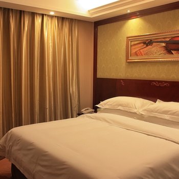 维也纳酒店(上海虹桥机场中心店)酒店提供图片