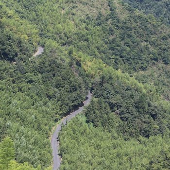 临安又一邨横岭店酒店提供图片