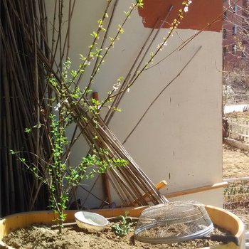 沈阳宁静的田园小居