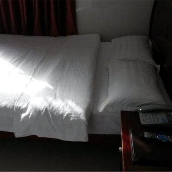 田东百威商务宾馆(百色)酒店提供图片