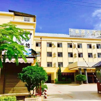 陇川鑫源大酒店