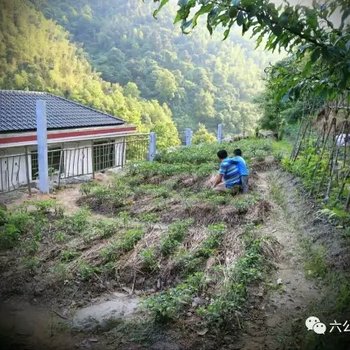 衡阳六公里生态农庄酒店提供图片