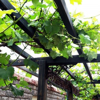 青岛柠檬蓝之家独栋别墅(共建街店)酒店提供图片