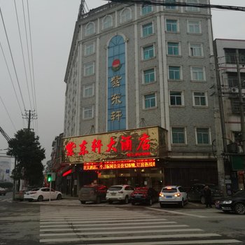 紫东轩大酒店酒店提供图片