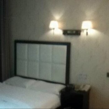 武强亚特商务酒店酒店提供图片