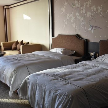 阳高神泉古域酒店酒店提供图片