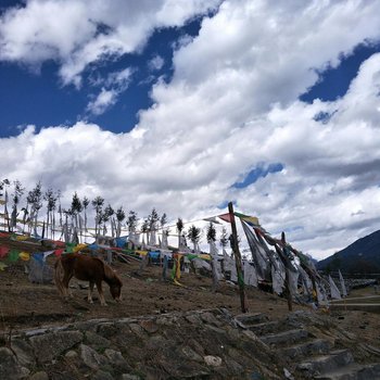 林芝鲁朗扎西岗村仲麦家庭宾馆酒店提供图片