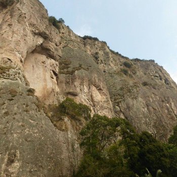 温州雁荡山雅岚居客栈酒店提供图片