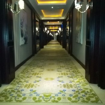 周口淮阳南湖温泉酒店酒店提供图片