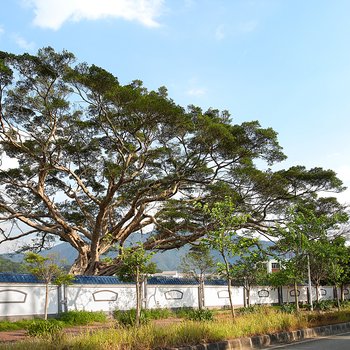 广州碧水新村码头客栈(田边村路分店)酒店提供图片