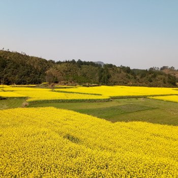 婺源山村民宿酒店提供图片