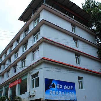 雅安碧峰峡森林花语酒店酒店提供图片