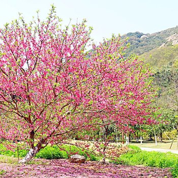 朱家尖无隐主题民宿酒店提供图片