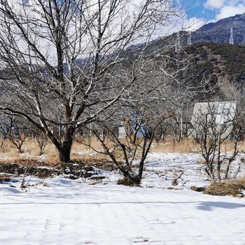 林芝嘎玛康桑度假营地酒店提供图片