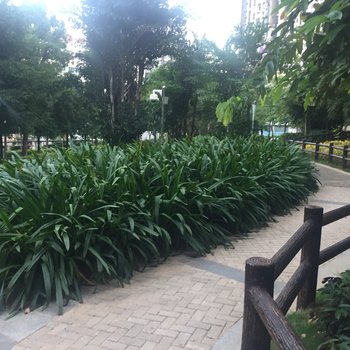 深圳喜客豪居酒店式公寓(松茂路店)