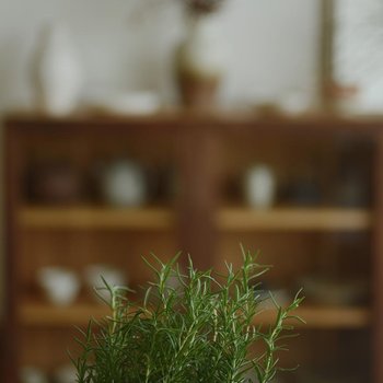 广州拾月民宿酒店提供图片