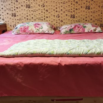 沧州苑宗洋公寓酒店提供图片