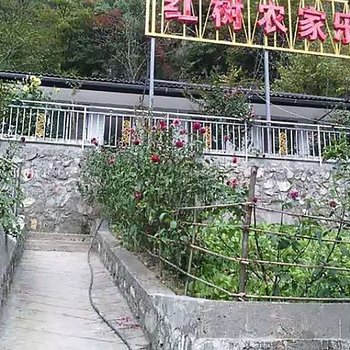 南江红树林农家乐