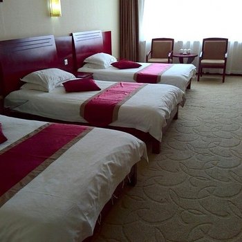 哈巴河商苑大酒店酒店提供图片
