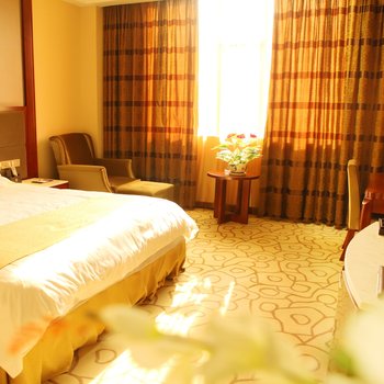 纳雍盛世金海大酒店酒店提供图片