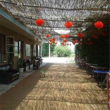 中卫高老庄休闲农庄