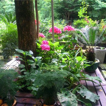 峨眉山喜来乐休闲庄酒店提供图片