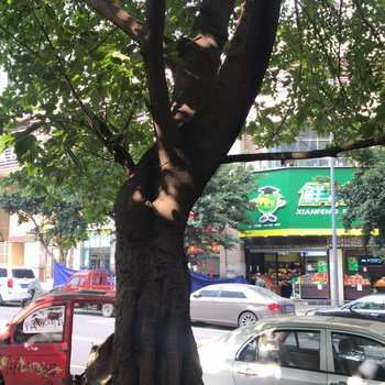 重庆稳稳的幸福之家公寓(开发路分店)酒店提供图片
